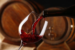 Traveler enjoying wine tasting at vineyards near Santiago, Chile.