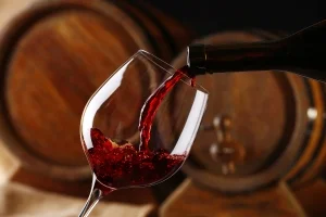 Traveler enjoying wine tasting at vineyards near Santiago, Chile.