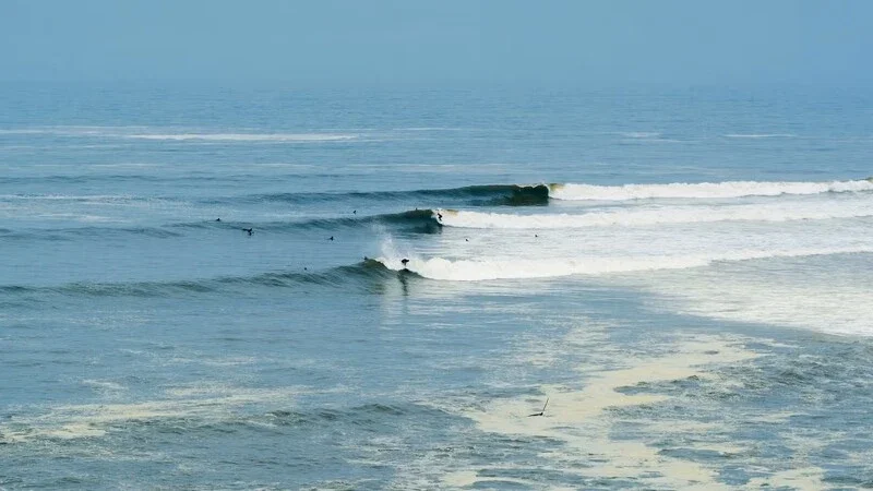 Surfers and travelers enjoying a sunny beach day at Costa Verde in Lima, Peru.
