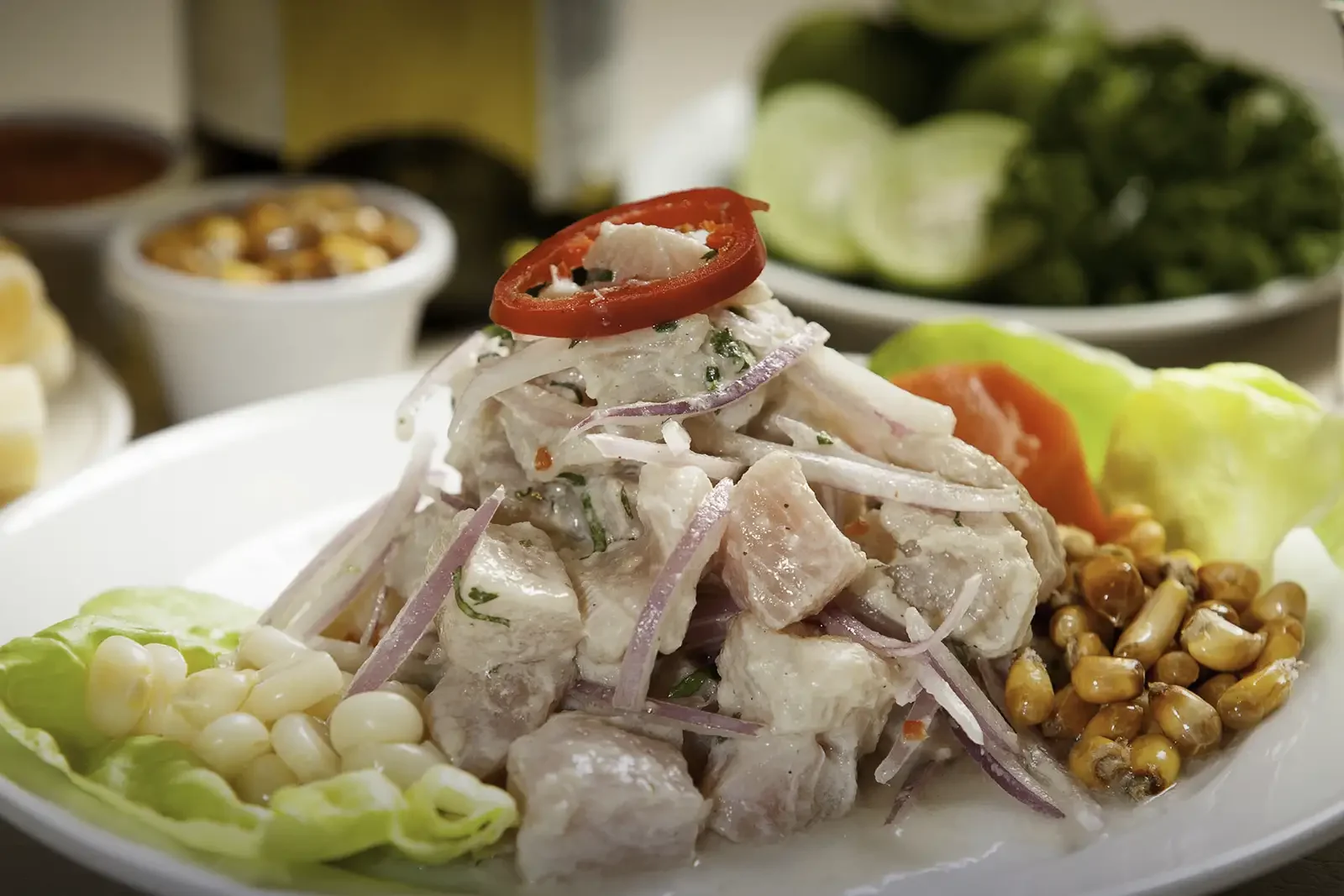 Peruvian dishes showing ceviche, causa, lomo saltado, and anticuchos.